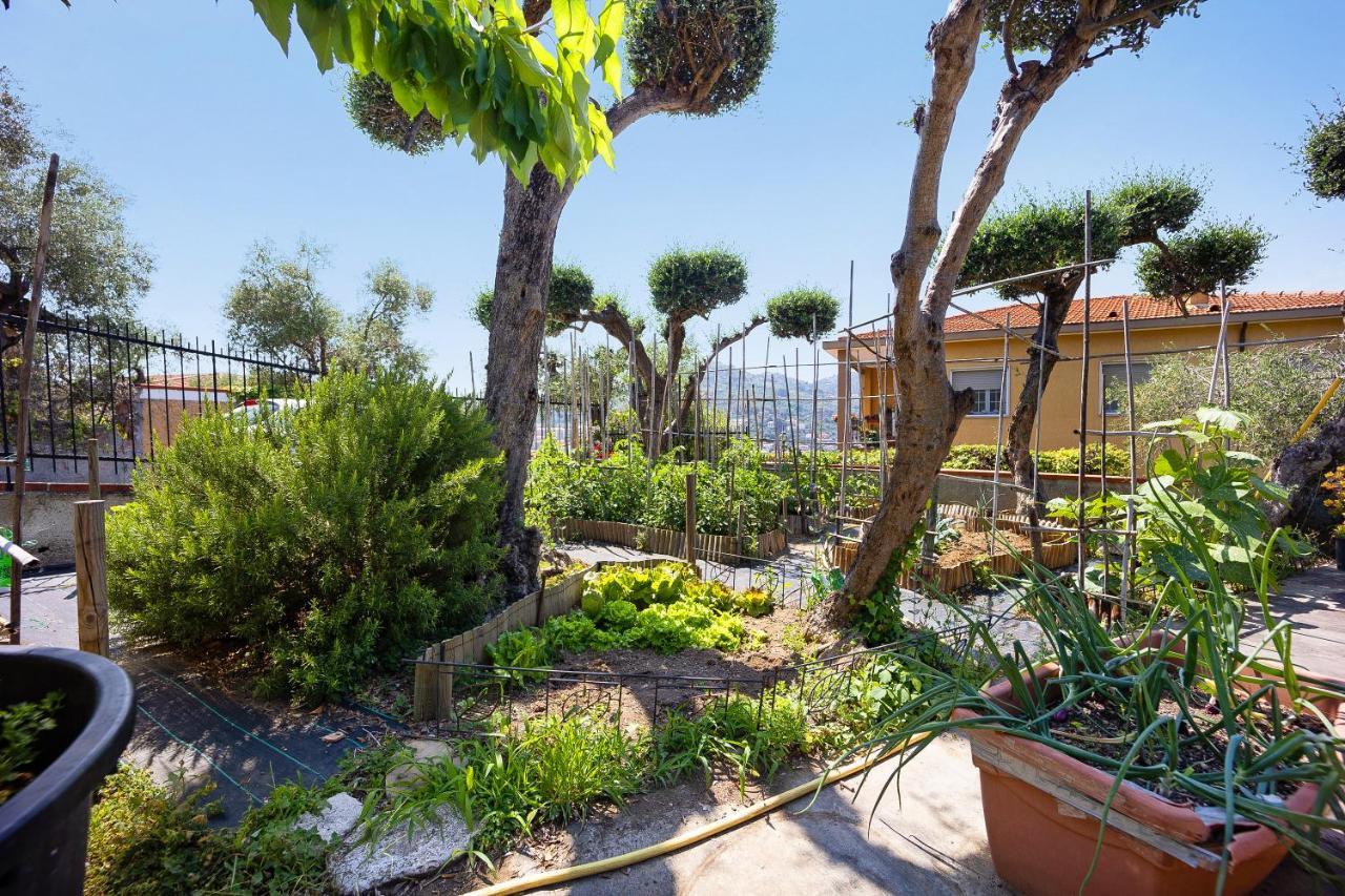 Ca Dei Tati - Citra 1181 Daire Imperia Dış mekan fotoğraf